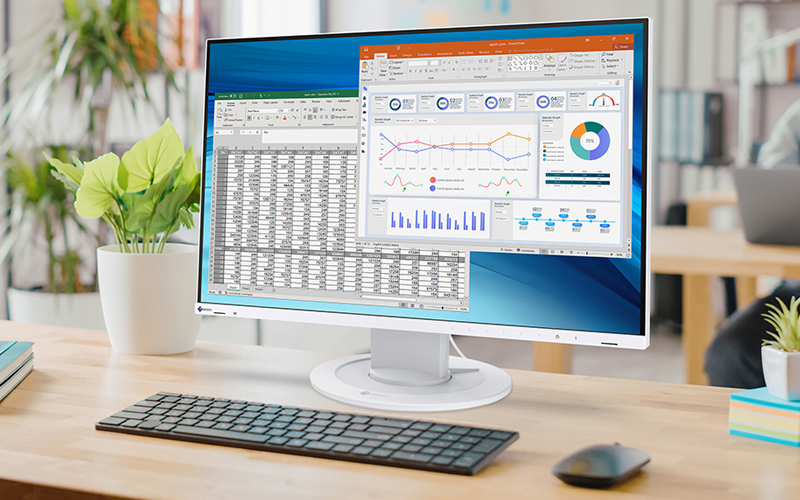 EIZO 24.1